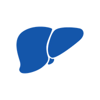 liver icon
