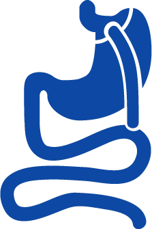gastric bypass icon